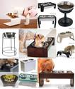 Best Raised Dog Bowls Reviews