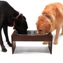 Best Raised Dog Bowls Reviews