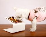 Best Raised Dog Bowls Reviews - Tackk