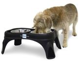 Best Raised Dog Bowls Reviews