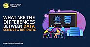 What Are the Differences Between Data Science & Big Data?
