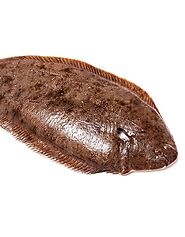Buy Frozen Dover Sole 450-550g Online at the Best Price, Free UK Delivery - Bradley's Fish