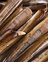Buy Razor Clams 1kg Online at the Best Price, Free UK Delivery - Bradley's Fish