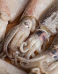 Buy Baby Squid 1kg Online at the Best Price, Free UK Delivery - Bradley's Fish