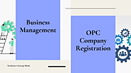 How Business Management Consultant Works for OPC Company Registration
