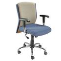 Executive Chairs Manufacturer,Supplier in Gurgaon,Delhi,India