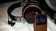 Denon 2000 & Westone W3 In Ear Monitor