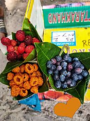 Fruits of Uttarakhand - Uttarakhand Hidden Gems | Facebook