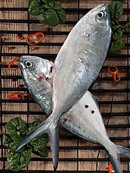 Buy Trevally Online at the Best Price, Free UK Delivery - Bradley's Fish