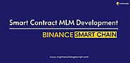 Binance Smart Chain MLM Software Development Company
