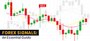 Essential Guide on Forex Signals - What are its Types and Advantages