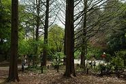 Kobe Municipal Arboretum - Wikipedia, the free encyclopedia