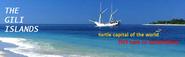 The Gili Islands - Island Promotions Travel can arrange all your holiday needs to Gili Trawangan, Gili Meno, Gili Air...