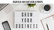 B2B Lead Generation Services in Delhi – L4RG