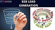 Increase your ROI through B2B Lead Generation – L4RG