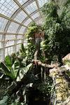 Butterfly zoo - Wikipedia, the free encyclopedia