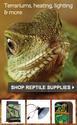 Live Reptiles available at Petco Stores