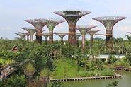 Gardens by the Bay - Wikipedia, the free encyclopedia