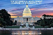 Top Ecommerce Development Companies in Washington, D.C.