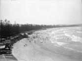 Manly Beach - Wikipedia, the free encyclopedia