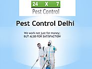 Pest Control Services in Delhi by pestcontroldelhi - Issuu