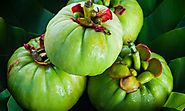 garcinia cambogia opinioni