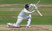 Cricket Tips and Tricks for Perfect Pitching - ArticleWeb55