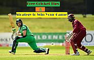 Free Cricket Tips & Strategy to Win Your Game - Elvanco