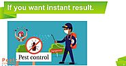 Why we choose advanced pest control team is local pest control is worst