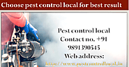 What is the work and technique of pest control service provider to control pests