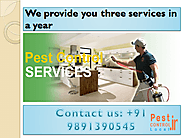 Why we need to go with a professional pest control service provider team