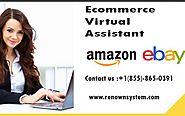 E-Commerce Virtual Assistant