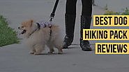 The 10 Best Dog Hiking Pack to Buy In 2020 - PetsUpdate