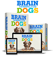 Brain Training For Dogs 2020 Review