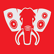Music | Phat Elephant Recordings