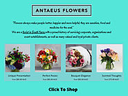 Best Florist South Yarra - Antaeus Flowers