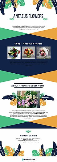 Best Flower Delivery Melbourne | Antaeus Flowers