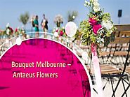Bouquet Melbourne – Antaeus Flowers
