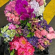 Fastest Flower Delivery in Melbourne - Antaeus Flowers