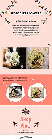 Wedding Bouquets Melbourne - Antaeus Flowers