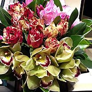Florist & flowers South Yarra - Antaeus Flowers