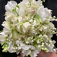 Find the Best Bouquet in Melbourne | Antaeus Flowers