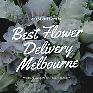 Best Flower Delivery Melbourne | Florist Melbourne | Antaeus Flowers