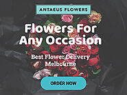 Best Flower Delivery Melbourne