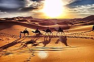 camel tour dubai