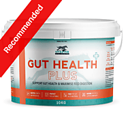 Gut Health Plus 10Kg | Horse Supplements – AmacronEquine