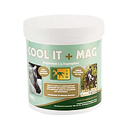 Cool-it + Mag Powder 500g | Horse Supplies Online | Amacron – AmacronEquine