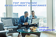 Top Software Development Companies