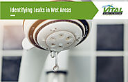 Identifying Leaks in Wet Areas - Vital Building and Pest Inspections