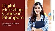 Digital Marketing Course in Pitampura By Institute of Digital Marketing | PPT